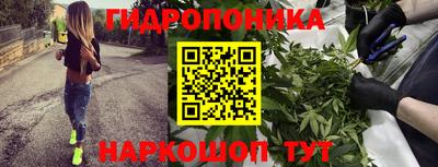 apvp Пенза