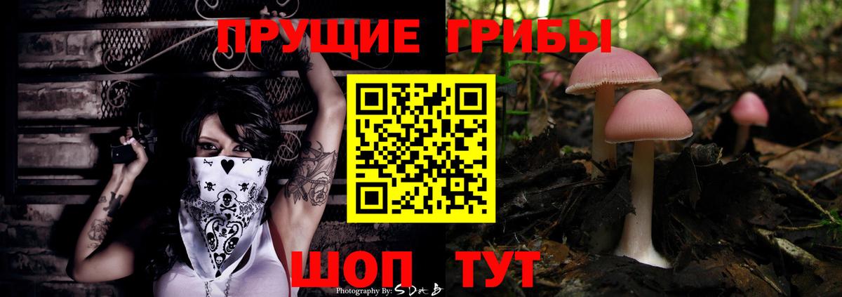 Псилоцибиновые грибы Cubensis  Вход с VPN  Псилоцибиновые грибы Cubensis  Вичуга 