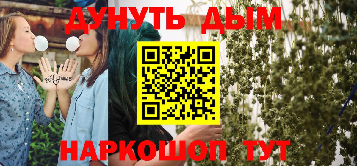 МАРИХУАНА сатива Вичуга